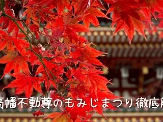 高幡不動尊のもみじまつりで最高の秋を満喫…