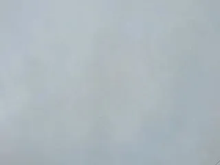 お墓参りと草引きと