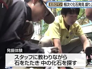 琥珀の産地からの発見！久慈市で恐竜化石の…