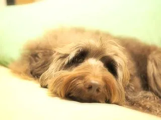 幸せは、いつもめんどくさいの先に待ってる
