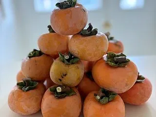 渋柿でピラミッドを作ってみましたよ!