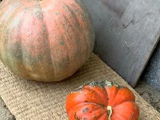 ハロウィン