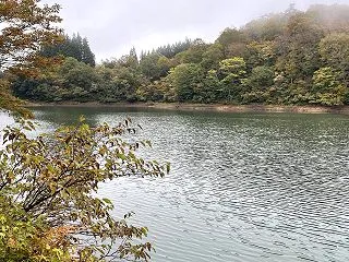 桂池散策