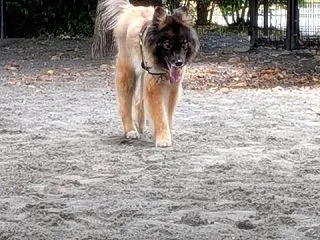 こんにちは