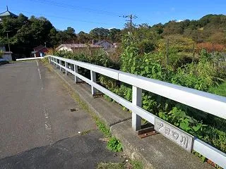 サケが遡上するアヨロ川