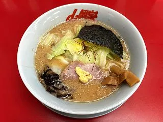 ラーメン山岡家 四日市塩浜店 / 帰り道…