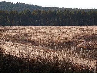 ★ブログ更新しました（10/23）202…