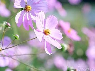 素人の理解が追いつかない世界