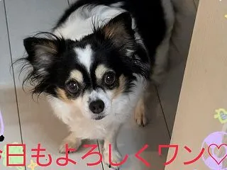 ホッ(*´-`)としたのも束の間…びっく…