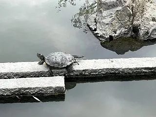 仕切り直し