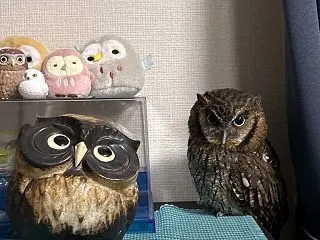 こんばんは🍓🍓🍓🍓🍓
