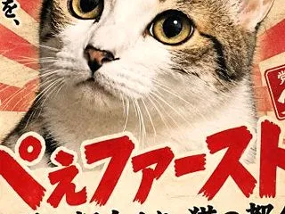 こんぺぇ党党首・ぺぇ。にゃん白宣言。チャ…
