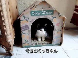 覚えられない