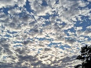 ドロ沼継続中（その４）と新たな愚痴