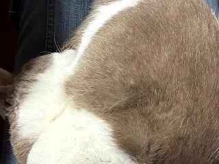 今日から通常モード？