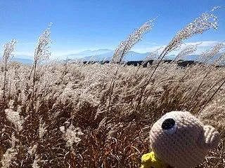 「いまだわからず」（・∀・）