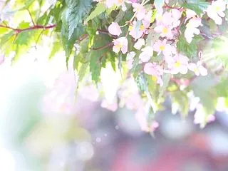ヒーリングは「祈り」。