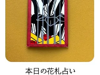 本日の花札占い