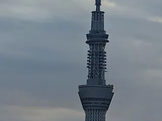 本日のスカイツリー