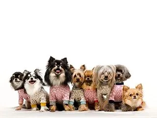 新しい集合写真