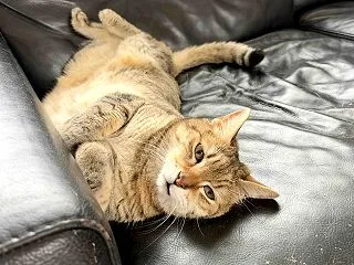 秋なのか、残暑なのか、暑かったー