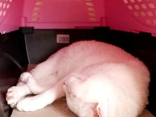 赤い点を発見