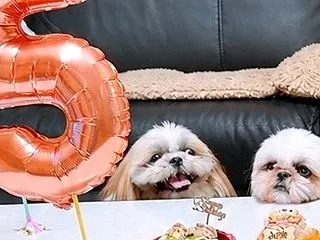 風太くん彡元気に5歳になりました～