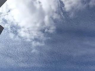 秋空に広がるうろこ雲