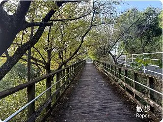 秋の週末裏山散歩3