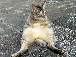本日のベストスリー１０月２２日