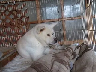 雨の日が多くなりゆうきと過ごす時間が増え…