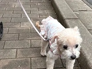 原宿