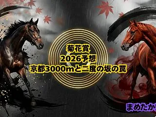 菊花賞2026予想｜京都3000mと二度…