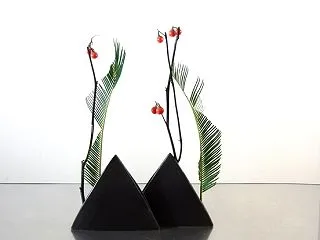 葉と茎の曲線