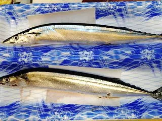 何食べたかな・・・