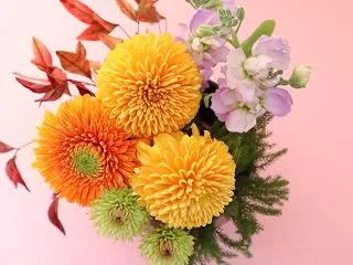 【23日：十三夜】中秋の名月にピンポンマ…