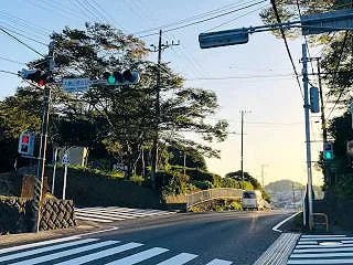NO.５１３７ おもいでみち～葉山木古庭…