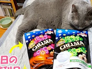 パーカーが着れるぐらいがいいのだ