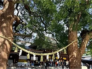 【明治神宮】参拝に…導かれた？《迷った話…