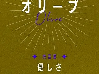 オリーブ