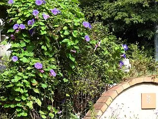 お天気のいい日はやることが一杯 ウエルカ…