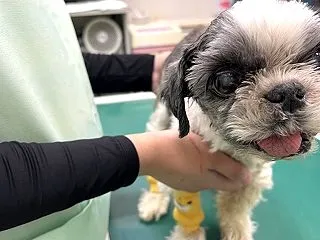 おひとりさま再び♪
