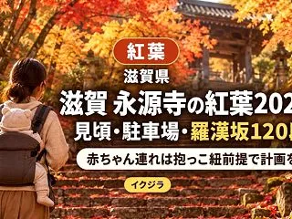 滋賀 永源寺の紅葉2026｜見頃・駐車場…