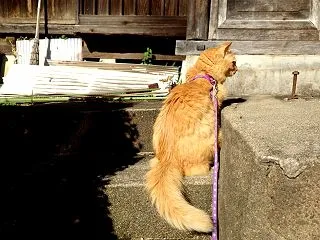 お気にポジション