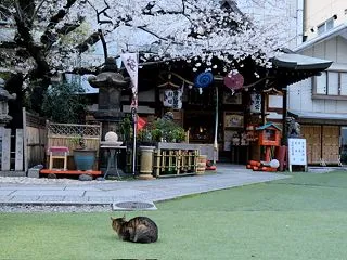 史上三番目らしい カゴメの優待