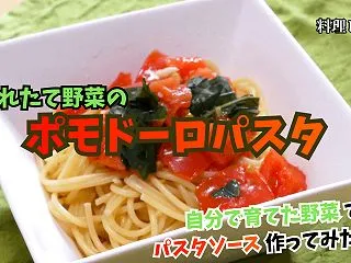 料理レシピ【採れたて野菜のポモドーロパス…