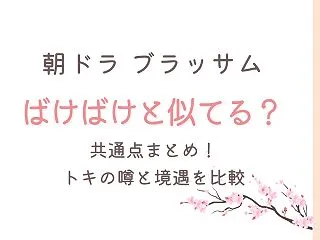 ブラッサムとばけばけが似てる共通点10選…