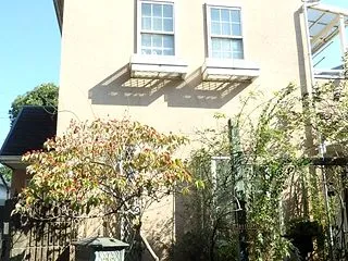 坂道に赤き実朝陽ハナミズキ