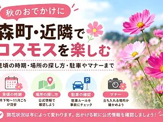 【森町】コスモス畑はどこ？近隣の花の名所…
