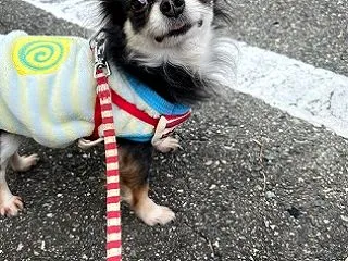 ジャネーさん ちょっとぶっ飛ばしすぎじゃ…